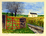 Allison Doherty: Farm Gates, Cow House, Ireland